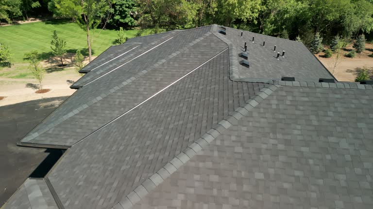 Best Emergency Roof Repair Services  in Lan, MI