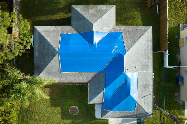 Best Roof Coating and Sealing  in Lan, MI