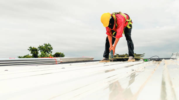 Best Wood Shake Roofing  in Lan, MI