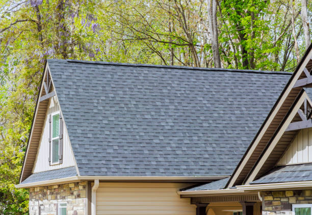 Best Roofing for New Construction  in Lan, MI