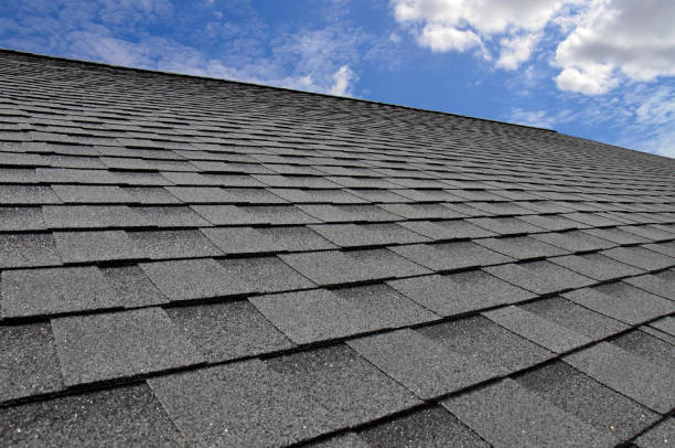 Best Roof Insulation Installation  in Lan, MI