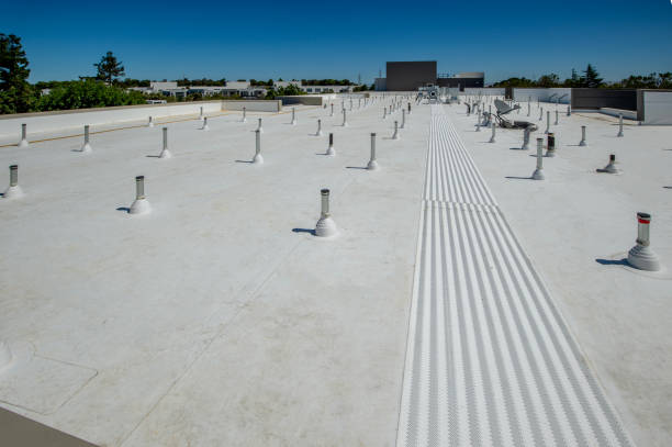 Best Hot Roofs  in Lan, MI